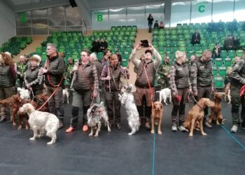 16.10.2025. Pińczów. Mistrzostwa Świata Wyżłów / Fot. Marta Gajda-Kruk - Radio Kielce