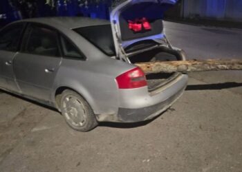 Był na grzybach i wydmuchał 4 promile