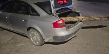 Był na grzybach i wydmuchał 4 promile