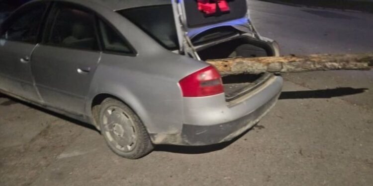 Był na grzybach i wydmuchał 4 promile