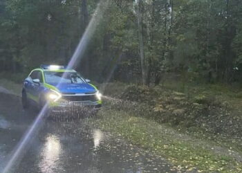 Policjanci i strażacy uratowali grzybiarza