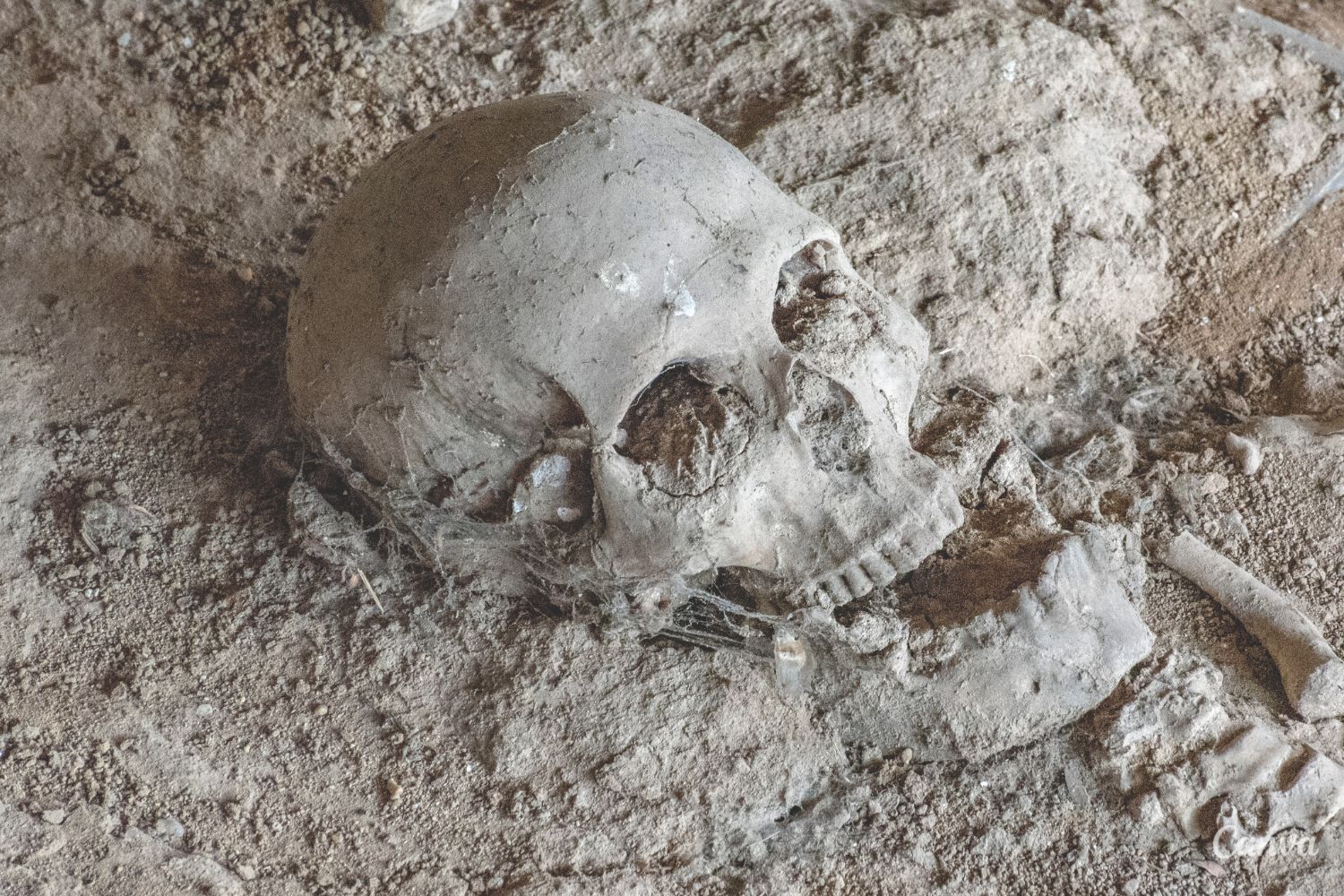 Mroczna tajemnica cmentarza, gdzie żywcem zakopano ciężarną kobietę