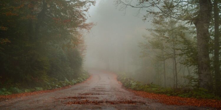 Jaki listopad trzeci, taki marzec się kleci
