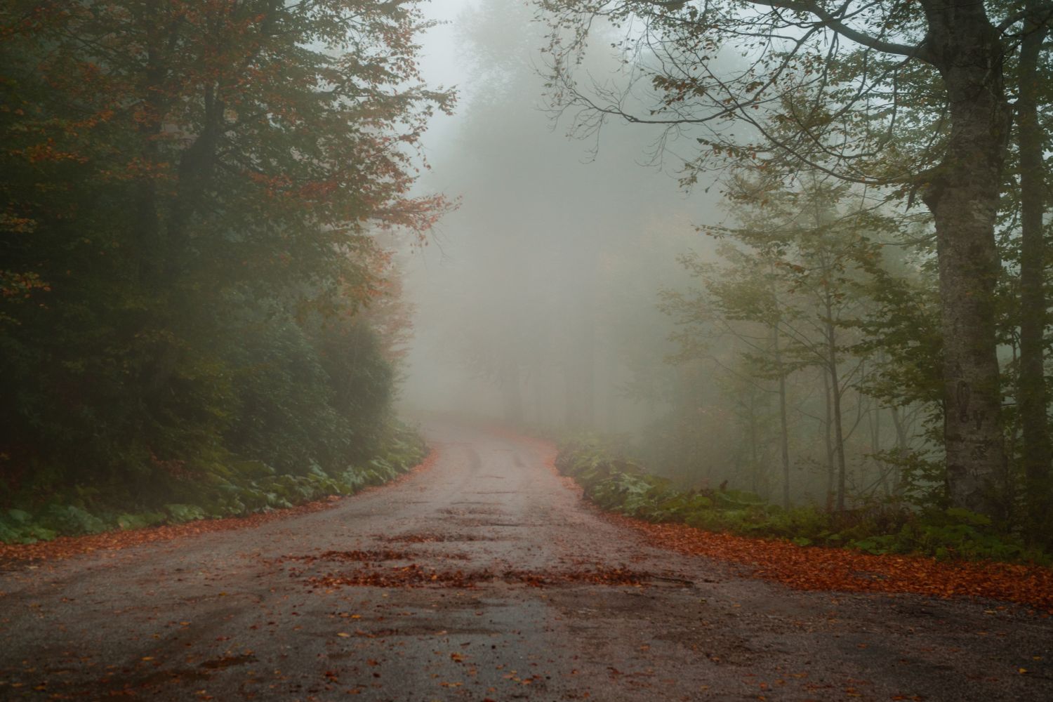 Jaki listopad trzeci, taki marzec się kleci