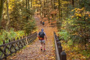 Biegacze z całej Polski rywalizowali w górskim maratonie - Radio Kielce 25.10.2025. Nowa Słupia. 7. Górski Maraton Świętokrzyski imienia trenera Kazimierza Jarosa / Fot. Andrzej Tomczyk