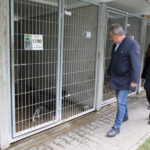 Zbiórki potrzebne, ale jeszcze bardziej adopcja - Radio Kielce