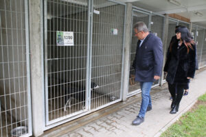 Zbiórki potrzebne, ale jeszcze bardziej adopcja - Radio Kielce