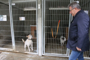 Zbiórki potrzebne, ale jeszcze bardziej adopcja - Radio Kielce