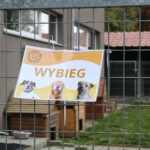Zbiórki potrzebne, ale jeszcze bardziej adopcja - Radio Kielce