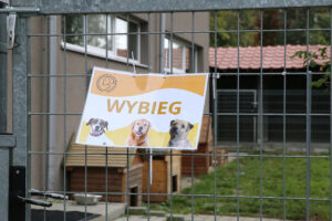 Zbiórki potrzebne, ale jeszcze bardziej adopcja - Radio Kielce