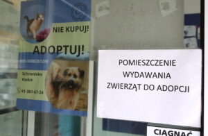 Zbiórki potrzebne, ale jeszcze bardziej adopcja - Radio Kielce
