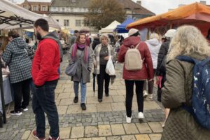 12.102.2025. Sandomierz. Uroczystości religijne ku czci bł. Wincentego Kadłubka / Fot. Grażyna Szlęzak-Wójcik - Radio Kielce