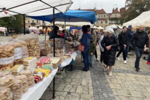 12.102.2025. Sandomierz. Uroczystości religijne ku czci bł. Wincentego Kadłubka / Fot. Grażyna Szlęzak-Wójcik - Radio Kielce