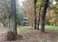 Najstarszy park w Staszowie przejdzie rewitalizację