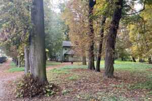 Najstarszy park w Staszowie przejdzie rewitalizację