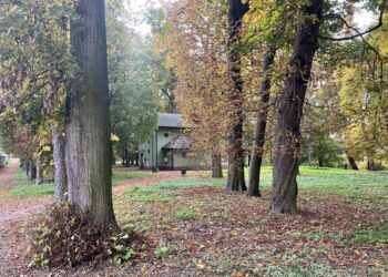 Najstarszy park w Staszowie przejdzie rewitalizację