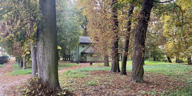 Najstarszy park w Staszowie przejdzie rewitalizację