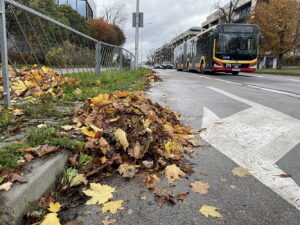 28.10.2025. Kielce. Prace porządkowe przed uroczystością Wszystkich Świętych / Fot. Wiktor Taszłow - Radio Kielce