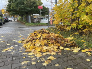 28.10.2025. Kielce. Prace porządkowe przed uroczystością Wszystkich Świętych / Fot. Wiktor Taszłow - Radio Kielce