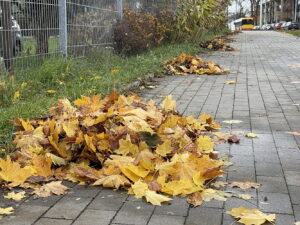 28.10.2025. Kielce. Prace porządkowe przed uroczystością Wszystkich Świętych / Fot. Wiktor Taszłow - Radio Kielce