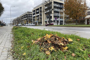 28.10.2025. Kielce. Prace porządkowe przed uroczystością Wszystkich Świętych / Fot. Wiktor Taszłow - Radio Kielce