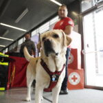 17.10.2025. Kielce. Targi Kielce. Świętokrzyski Kongres Organizacji Pozarządowych / Fot. Jarosław Kubalski - Radio Kielce