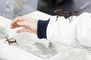Kielce. Targi Dragon Expo - Radio Kielce