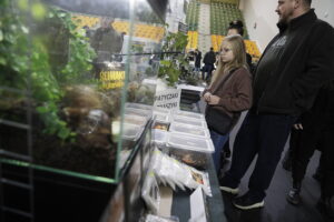 Kielce. Targi Dragon Expo - Radio Kielce