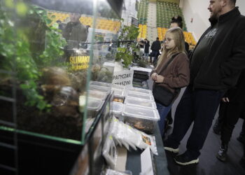 Spotkanie z egzotyką w Hali Legionów - Radio Kielce 26.10.2025 Kielce. Targi Terrarystyczne i Botaniczne Dragon Expo / Fot. Jarosław Kubalski - Radio Kielce