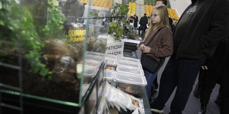 Spotkanie z egzotyką w Hali Legionów - Radio Kielce 26.10.2025 Kielce. Targi Terrarystyczne i Botaniczne Dragon Expo / Fot. Jarosław Kubalski - Radio Kielce