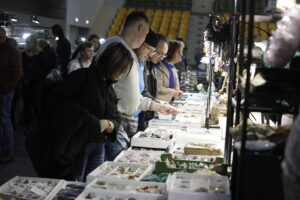 Kielce. Targi Dragon Expo - Radio Kielce
