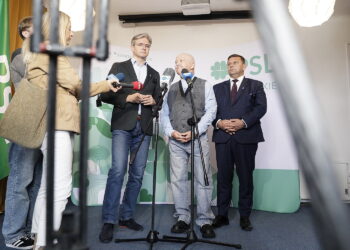 Rząd dzieli pieniądze, PSL mówi gdzie one trafią