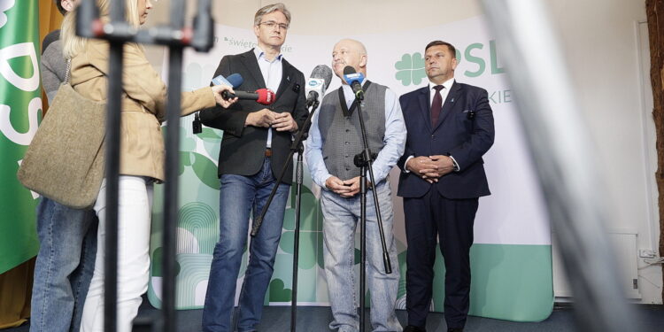 Rząd dzieli pieniądze, PSL mówi gdzie one trafią