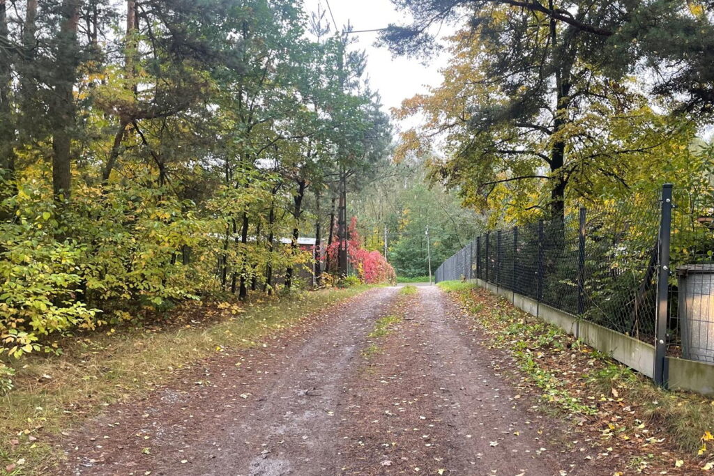 Wykopał ciało zamordowanej żony, zanim sam zginął - Radio Kielce Wykopał ciało zamordowanej żony, zanim sam zginął - Radio Kielce