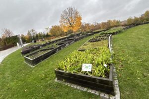 24.10.2025. Kielce. Ogród botaniczny / Fot. Marcin Marszałek - Radio Kielce