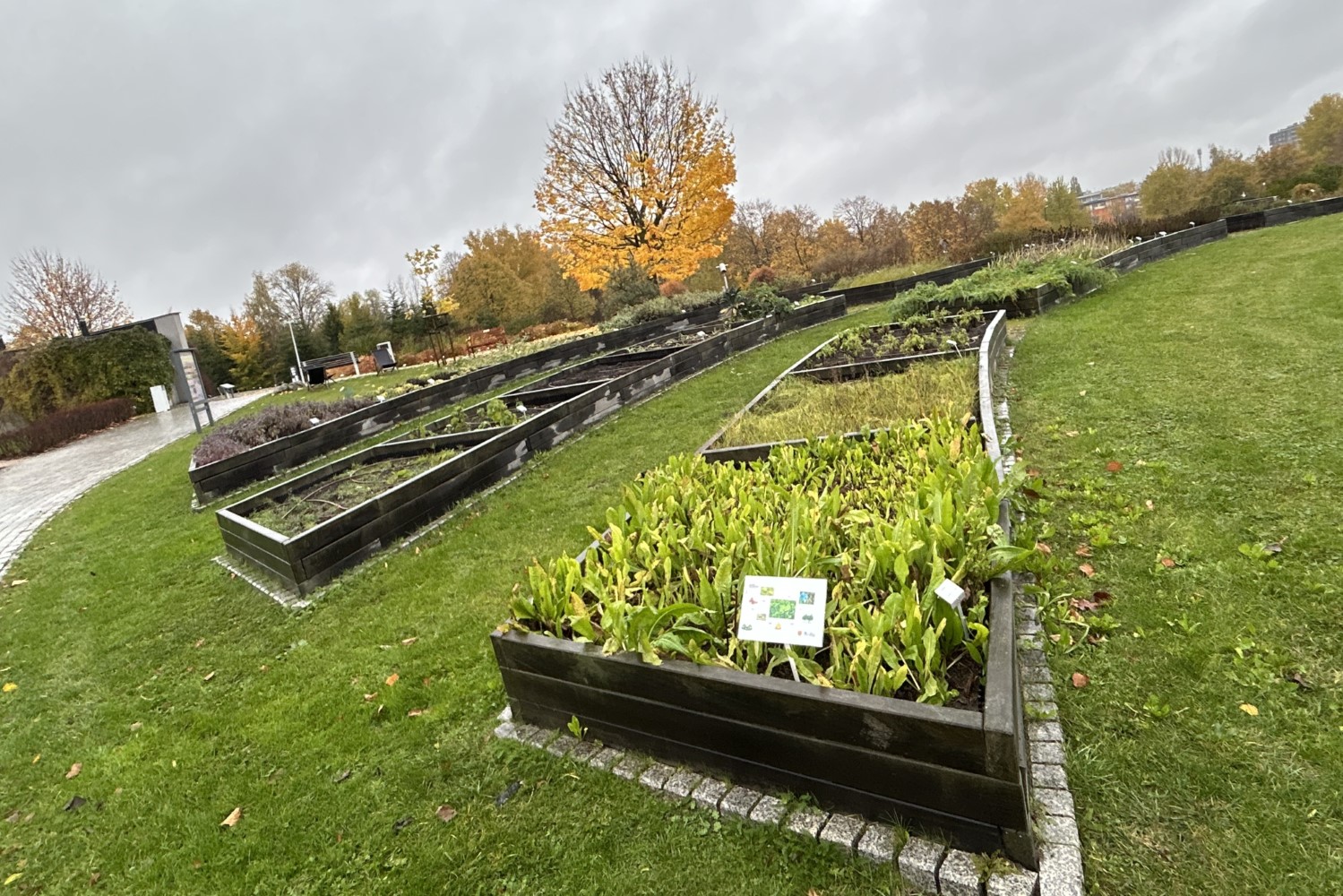 Ostatni moment na zwiedzenie ogrodu botanicznego - Radio Kielce 24.10.2025. Kielce. Ogród botaniczny / Fot. Marcin Marszałek - Radio Kielce