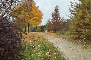 24.10.2025. Kielce. Ogród botaniczny / Fot. Marcin Marszałek - Radio Kielce
