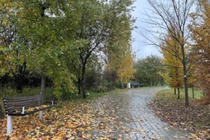 24.10.2025. Kielce. Ogród botaniczny / Fot. Marcin Marszałek - Radio Kielce