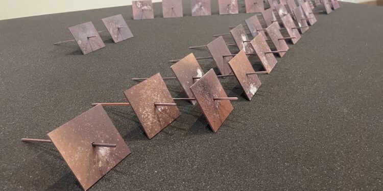 Starachowice. Muzeum Przyrody i Techniki. Wystawa „Bliżej ziemi” / Fot. Anna Głąb - Radio Kielce