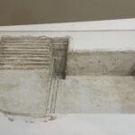 Starachowice. Muzeum Przyrody i Techniki. Wystawa „Bliżej ziemi” / Fot. Anna Głąb - Radio Kielce