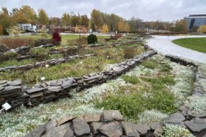 24.10.2025. Kielce. Ogród botaniczny / Fot. Marcin Marszałek - Radio Kielce
