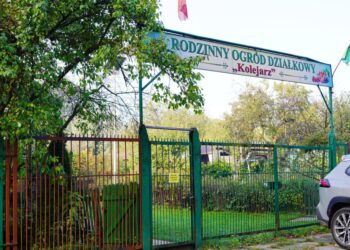 Działkowcy ze Skarżyska dostaną wsparcie od miasta - Radio Kielce Działkowcy ze Skarżyska dostaną wsparcie od miasta