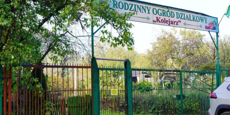 Działkowcy ze Skarżyska dostaną wsparcie od miasta