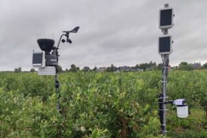 Targi Sadownictwa i Warzywnictwa / źródło: TSW