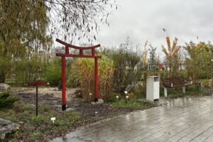 24.10.2025. Kielce. Ogród botaniczny / Fot. Marcin Marszałek - Radio Kielce