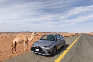 Muzyczne podróże przez świat. Arabia Saudyjska. Tajemnice pustynnego królestwa. Cz. 2 - Radio Kielce Muzyczne podróże przez świat. Arabia Saudyjska. Cz. 2 / Fot. Danuta Rasała