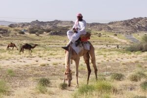 Muzyczne podróże przez świat. Arabia Saudyjska Cz.1 - Radio Kielce Muzyczne podróże przez świat. Arabia Saudyjska Cz.1 - Radio Kielce