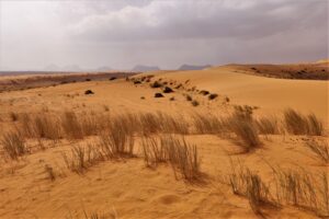 Muzyczne podróże przez świat. Arabia Saudyjska. Tajemnice pustynnego królestwa. Cz. 2 - Radio Kielce Muzyczne podróże przez świat. Arabia Saudyjska. Cz. 2 / Fot. Danuta Rasała