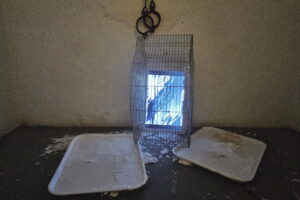 Sny i łzy. Historia artysty i świata, który go ukształtował - Radio Kielce