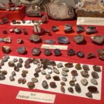 Skarby ziemi dostępne dla wszystkich